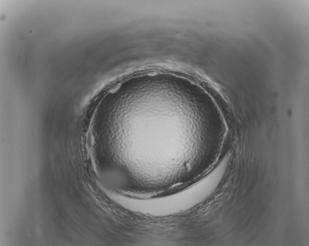 X0000064761496200602171745