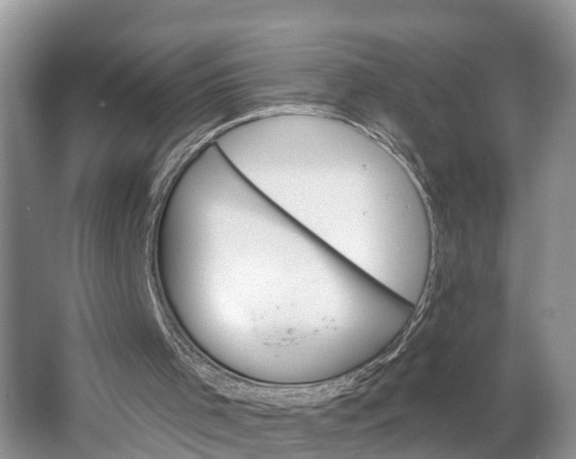 X0000064760001200602241933