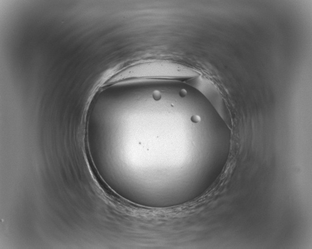 X0000064760003200602241933
