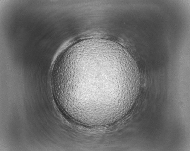 X0000064760004200602241933
