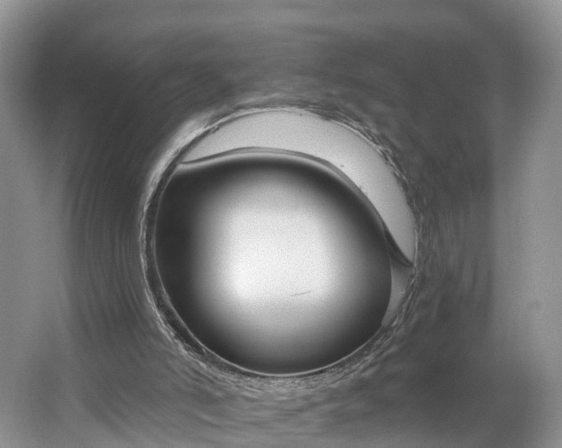 X0000064760006200602241933