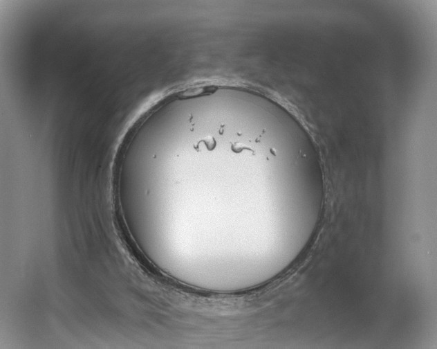 X0000064760008200602241933