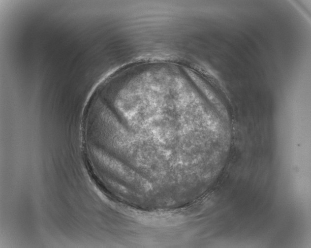 X0000064760012200602241933