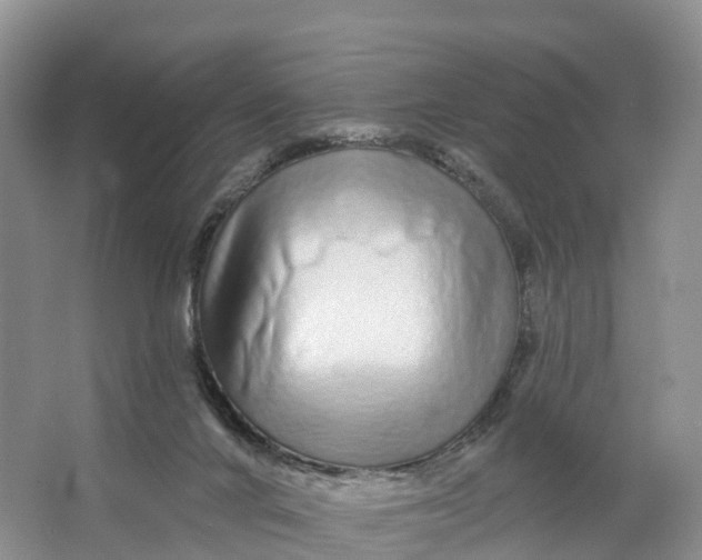 X0000064760024200602241932