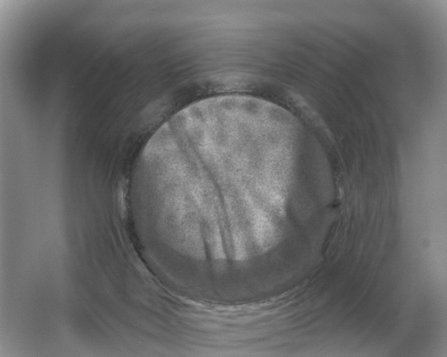 X0000064760026200602241932