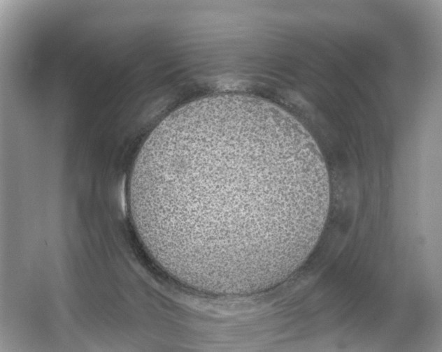 X0000064760028200602241932