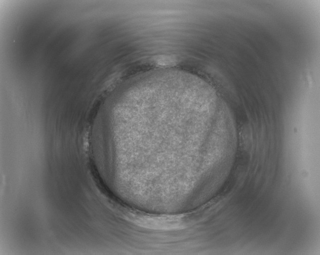 X0000064760032200602241932