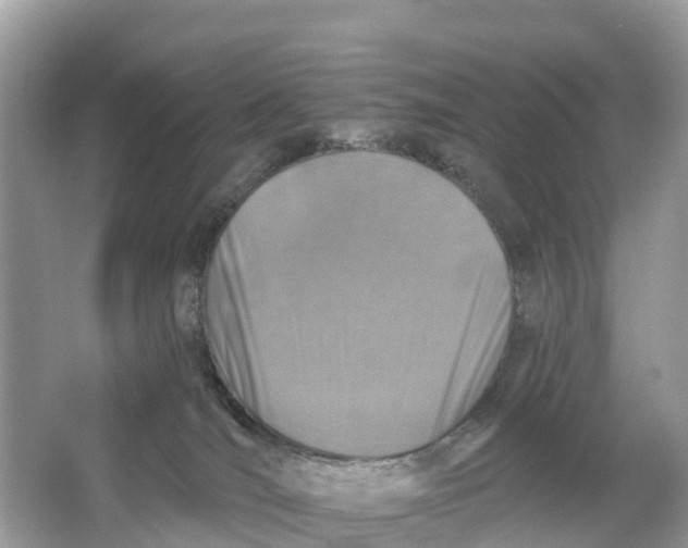 X0000064760036200602241932