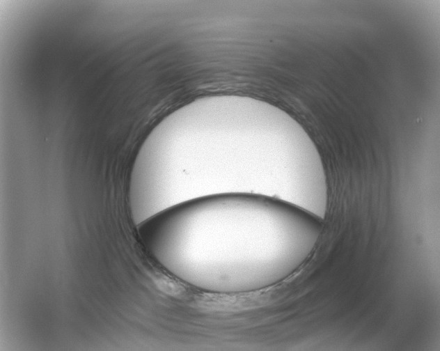 X0000064760045200602241932