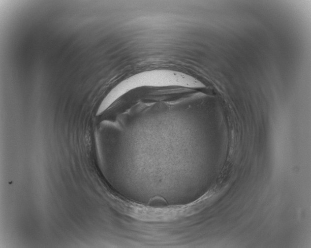 X0000064760048200602241932