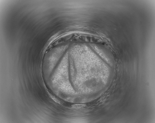 X0000064760051200602241930