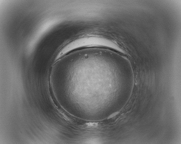 X0000064760052200602241931