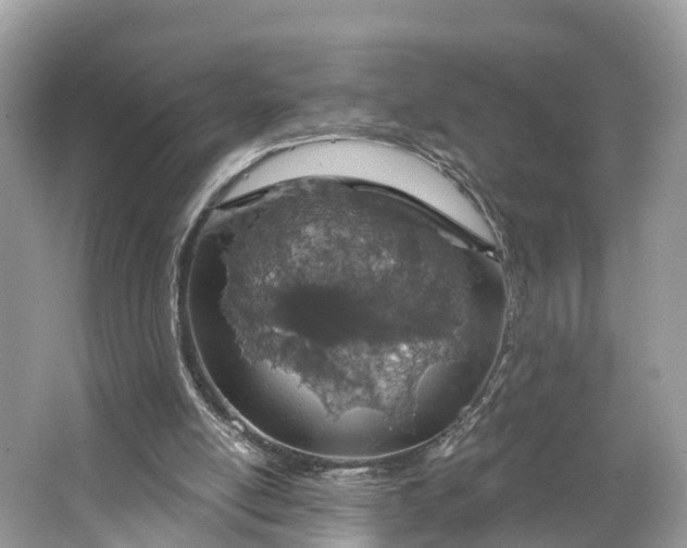 X0000064760054200602241931