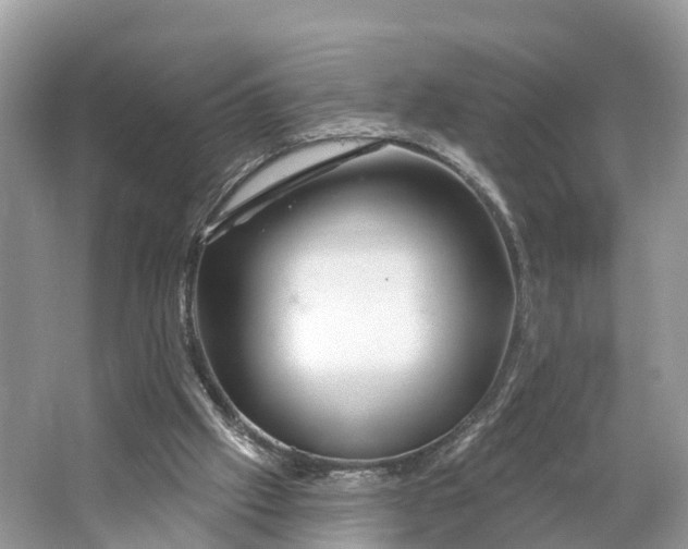 X0000064760057200602241931