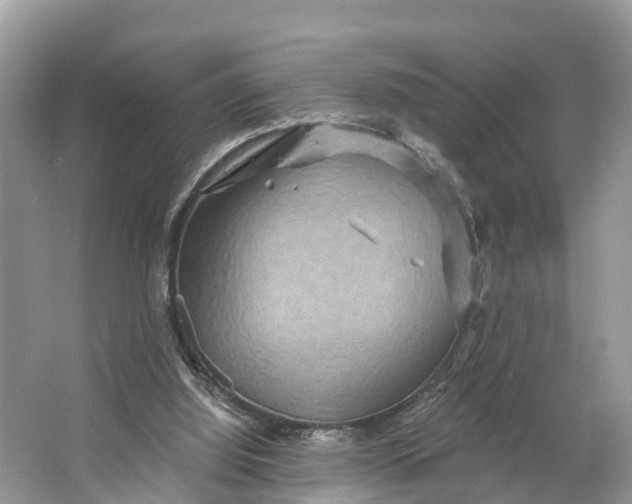 X0000064760060200602241931