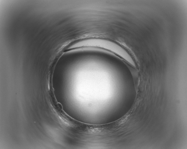 X0000064760062200602241931