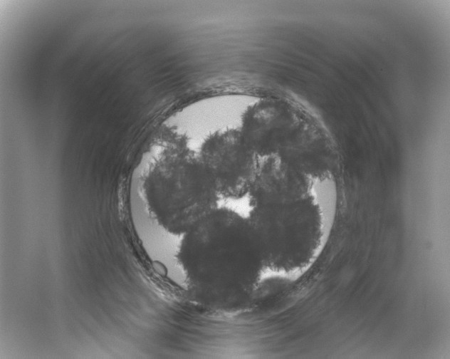 X0000064760065200602241931