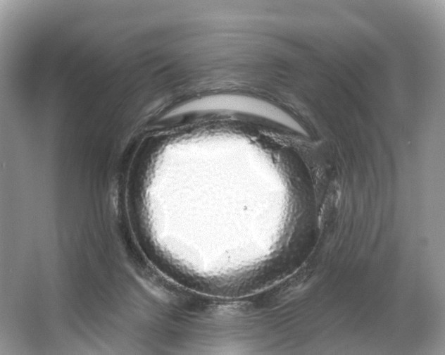 X0000064760072200602241931