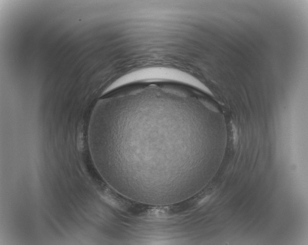 X0000064760080200602241931