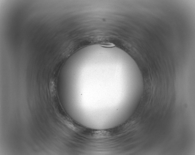 X0000064760087200602241931