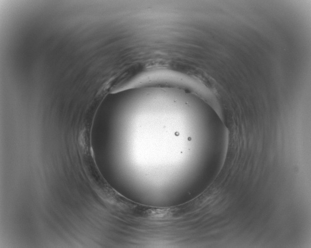 X0000064760088200602241931
