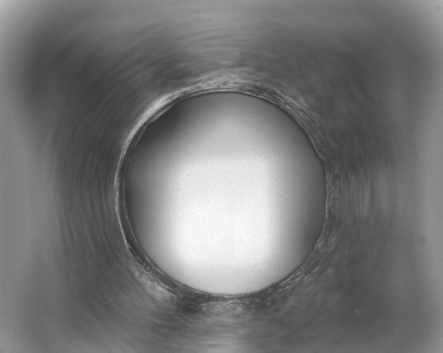 X0000064760100200602241930