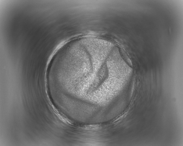 X0000064760102200602241930