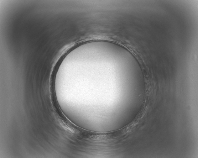 X0000064760104200602241930
