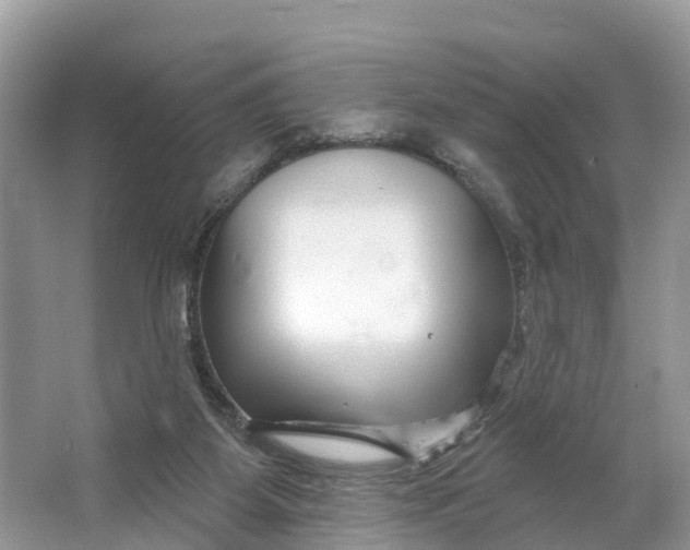 X0000064760115200602241930
