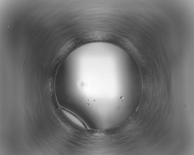 X0000064760119200602241930