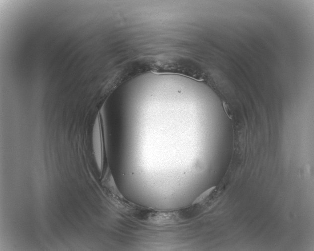 X0000064760129200602241930