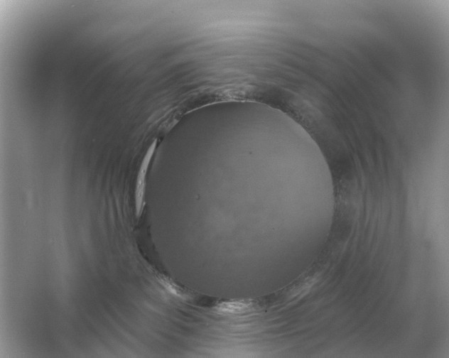 X0000064760139200602241929