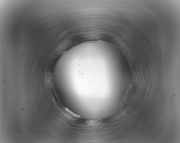 X0000064760141200602241929