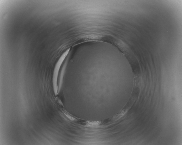 X0000064760143200602241929