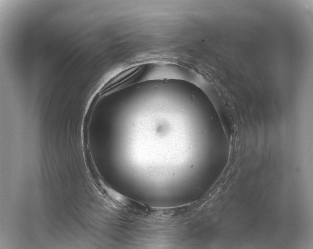 X0000064760148200602241928