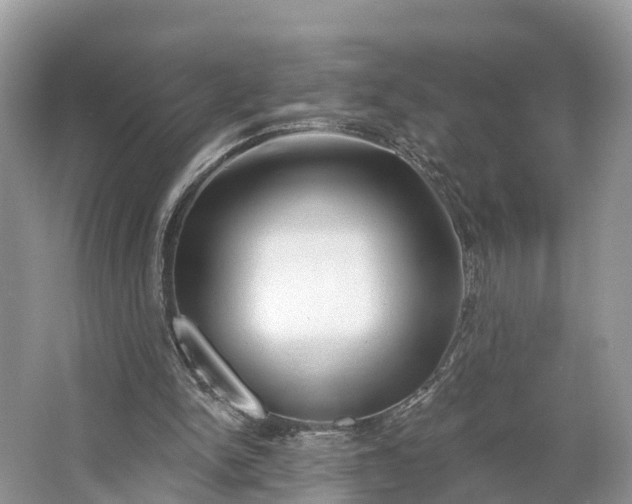 X0000064760150200602241928
