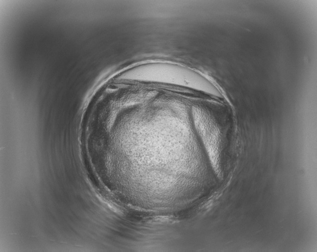 X0000064760151200602241928