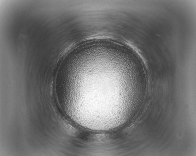 X0000064760153200602241928
