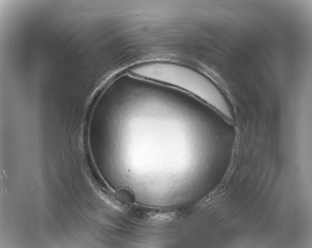 X0000064760155200602241928