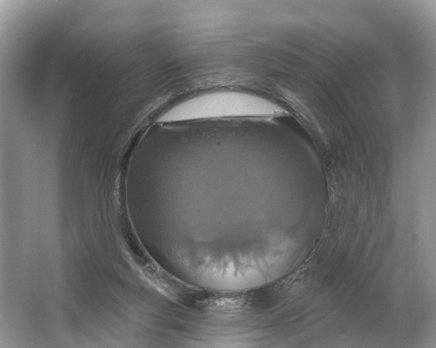X0000064760163200602241928