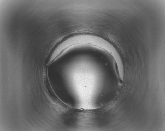 X0000064760164200602241928