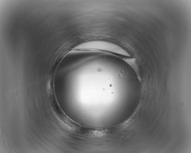 X0000064760166200602241929