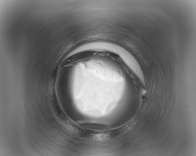 X0000064760168200602241929