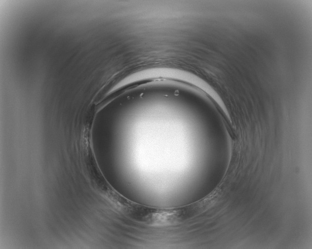 X0000064760172200602241929