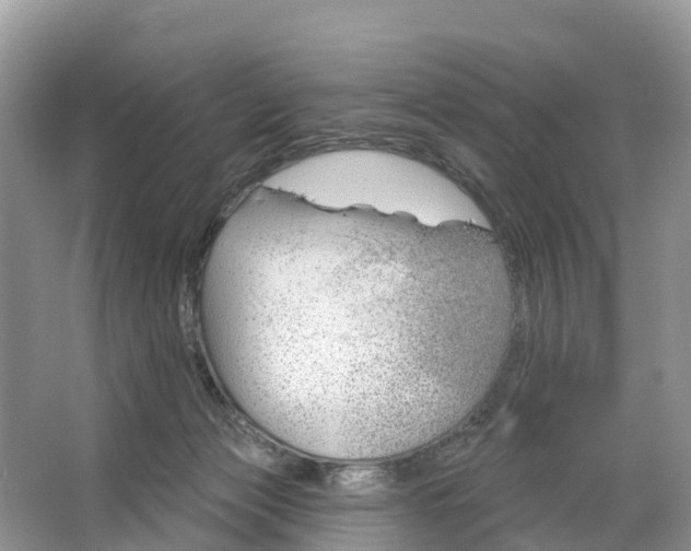 X0000064760173200602241929
