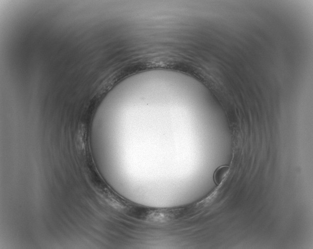 X0000064760174200602241929