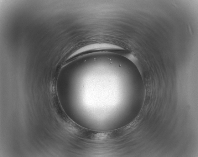 X0000064760176200602241929