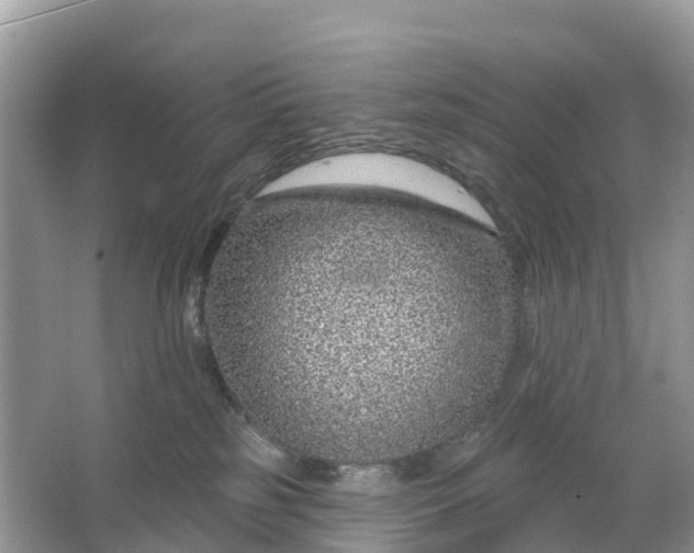 X0000064760185200602241929