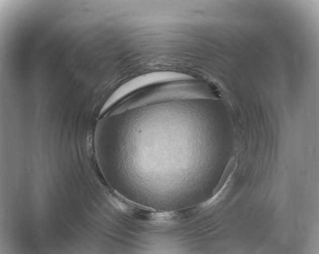 X0000064760192200602241929