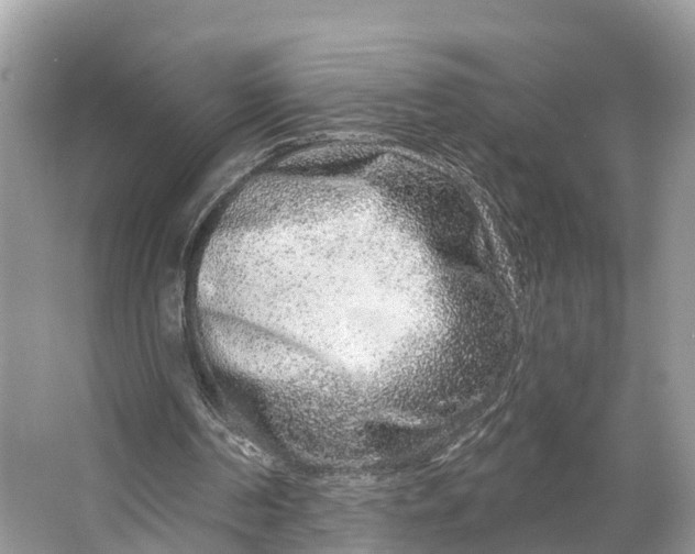 X0000064760194200602241928